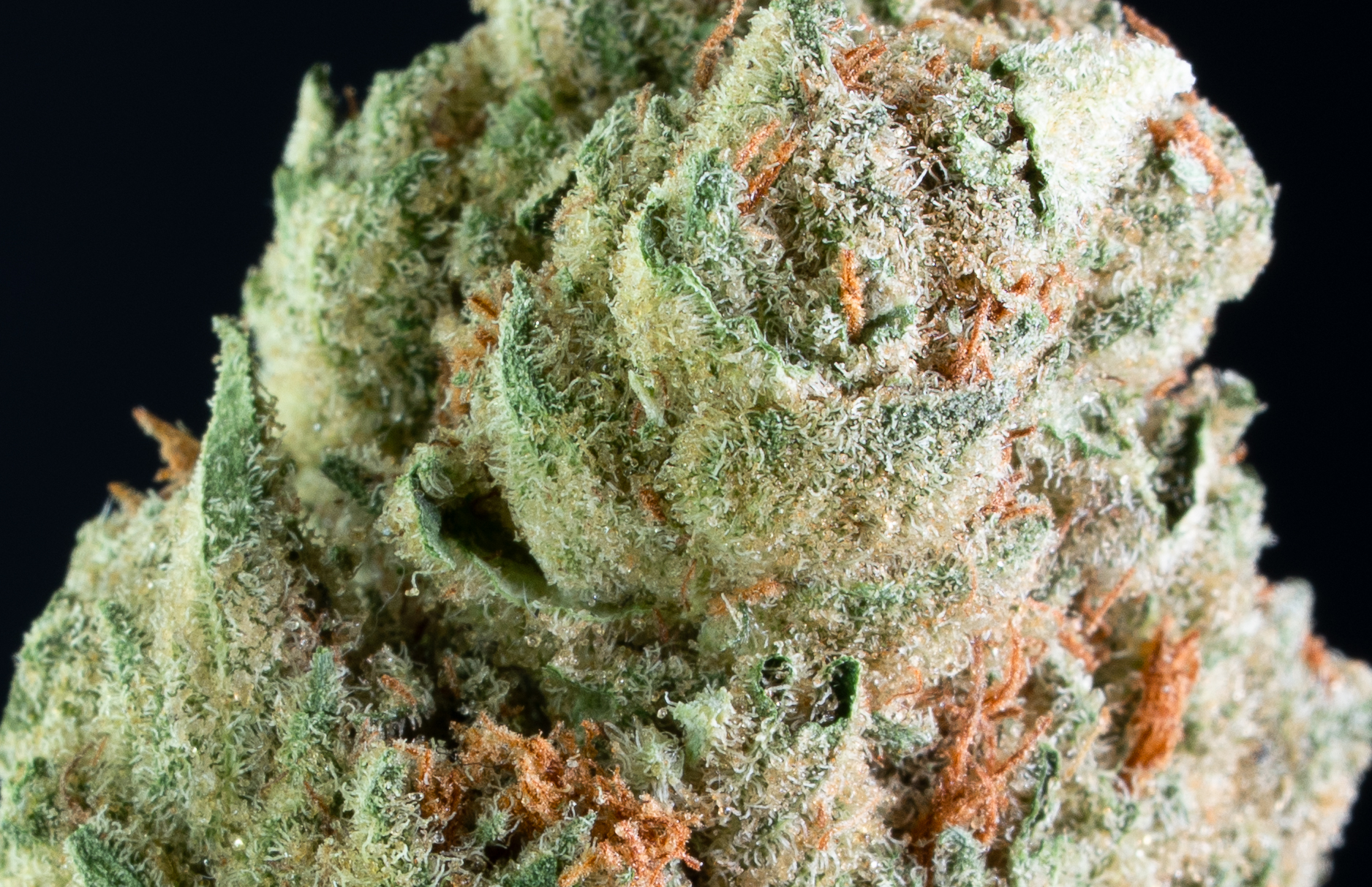 Jetfuel | Outdoor - Image 3