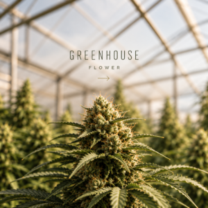 Greenhouse